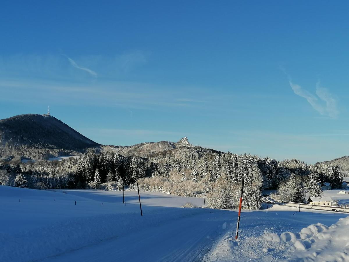 Ferienhof Kehlbauer Hof bei Salzburg Exterior foto