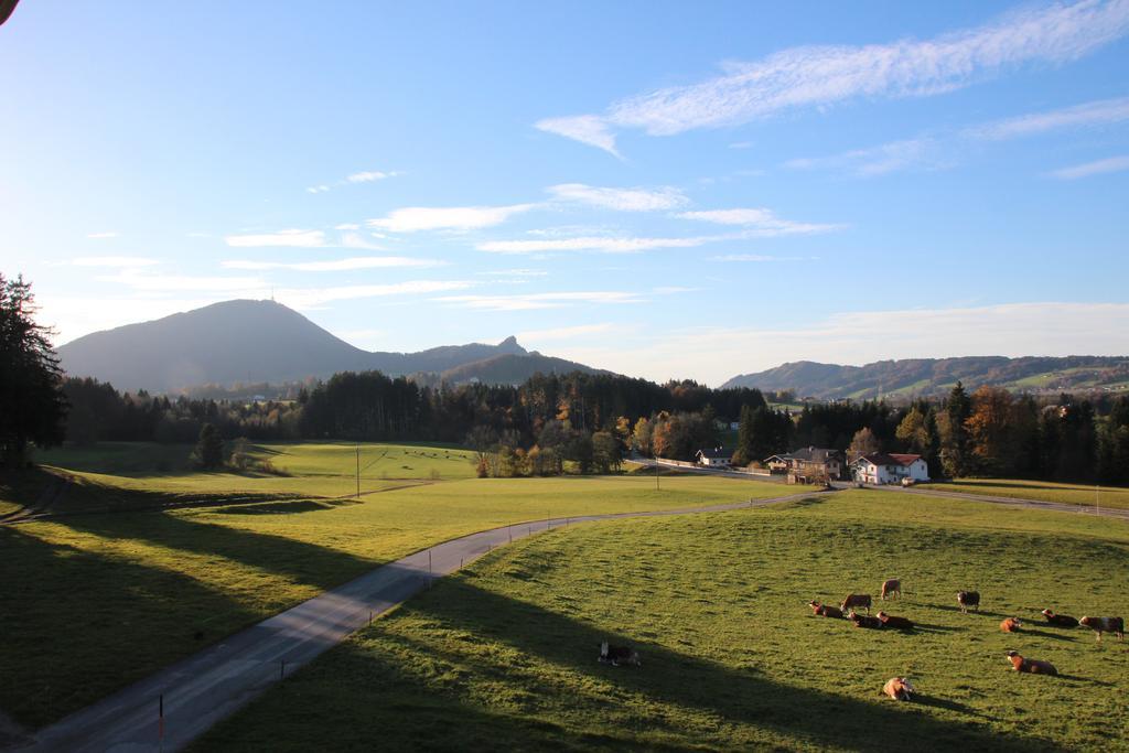 Ferienhof Kehlbauer Hof bei Salzburg Cameră foto