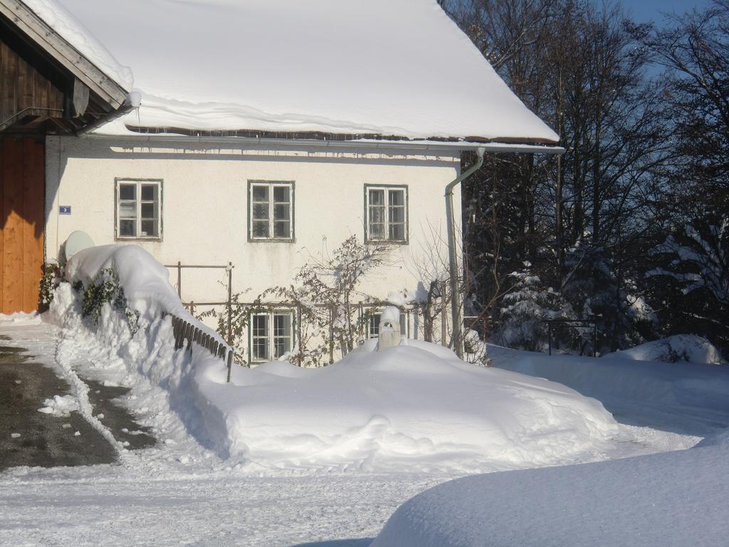 Ferienhof Kehlbauer Hof bei Salzburg Exterior foto